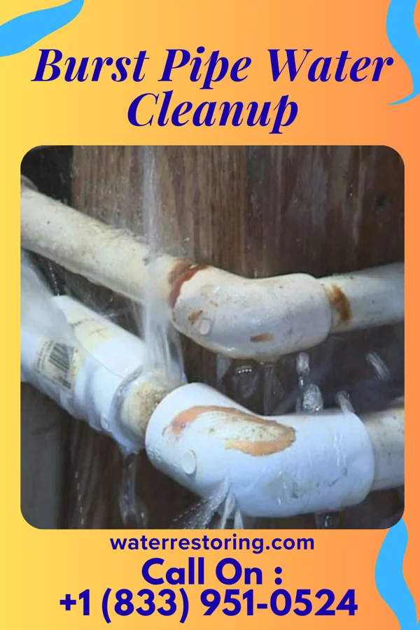 Burst Pipe Water Cleanup in Verona, MO