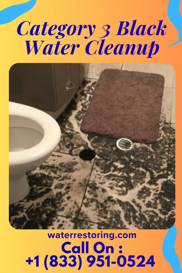 Category 3 Black Water Cleanup in Verona, MO