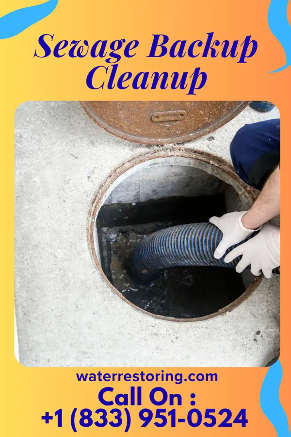 Sewage Backup Cleanup in Verona, MO
