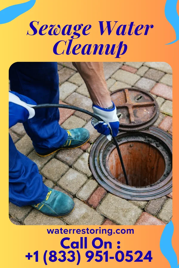 Sewage Water Cleanup in Verona, MO