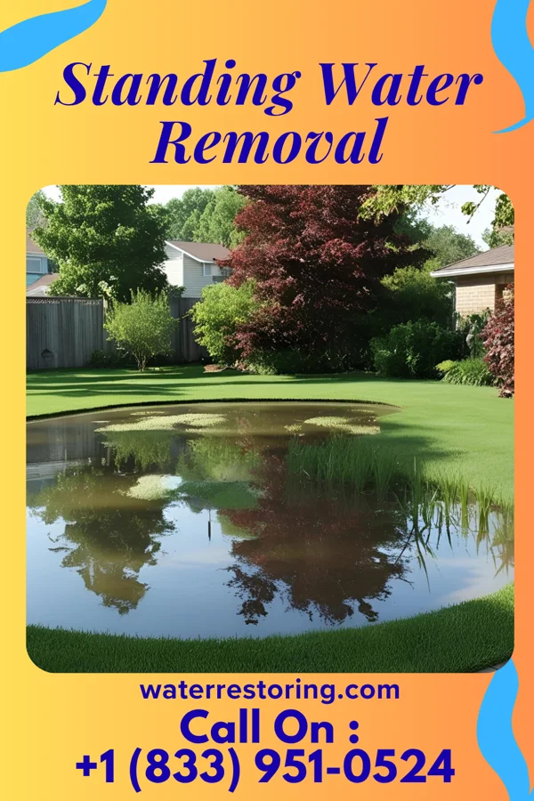 Standing Water Removal in Verona, MO